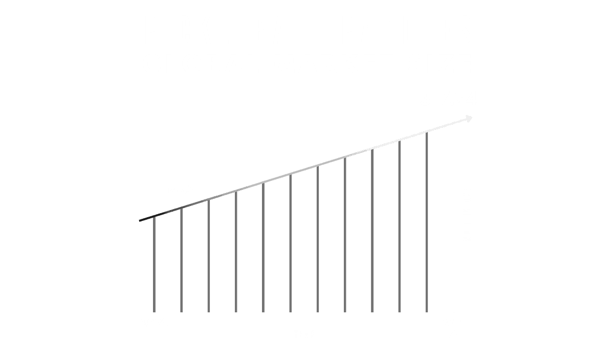 Pickleball paddle global market size 2024 to 2031